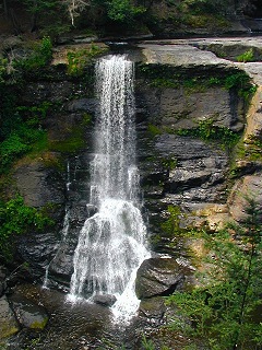 The falls, which are much higher and more impressive than they appear here. They are located just a short walk through the woods from the mansion.