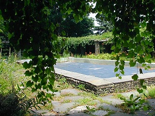 This pool area used to be open (you couldn't use the pool, but you could go sit beside it). I remember eating my lunch there once. Now it's all overgrown, and you can't go inside. I'm guessing they have big plans for this spot, but just haven't worked on it yet.