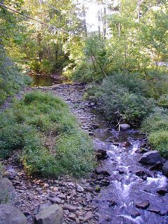 A quick photo of the creek