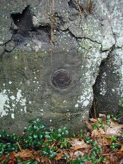 The disk in the exposed rock outcrop