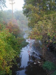 The creek running parallel to the railroad bed, on a foggy morning.