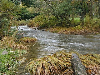 After several days of rain, the stream was full.