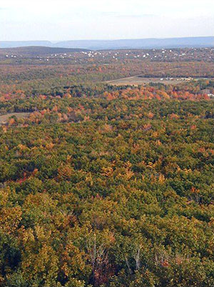 Beautiful fall colors...