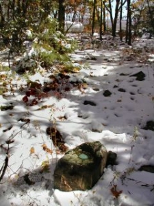 The general area near the station mark.