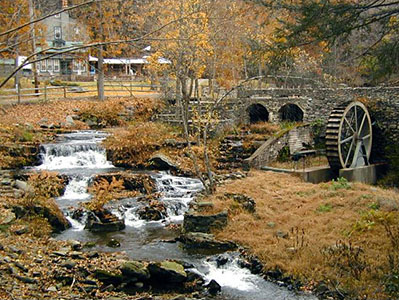 Autumn scene ...