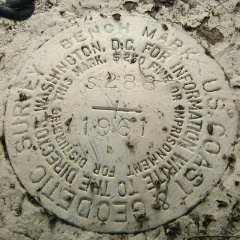 NGS Bench Mark Disk S 288