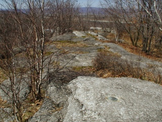 General view of the area near the reference mark.