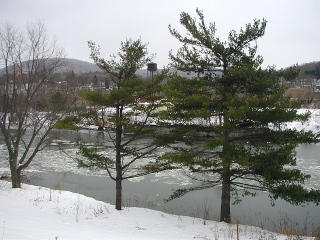 Some green in an otherwise bleak landscape