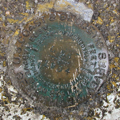 NGS Bench Mark Disk L 56