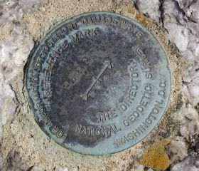 NGS Reference Mark Disk ROAR 2 RM 4