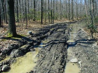 The trails near my neighborhood were a real mess today.