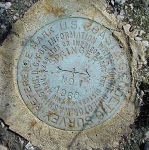 NGS Reference Mark Disk SPRINGER RM 1