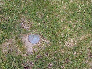 Eyelevel view; the lawn is swallowing the monument.