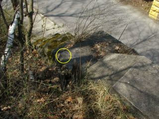 General overhead view of stone and location of mark.