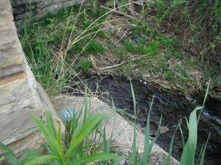 The benchmark disk on the bridge abutment.