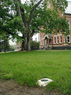 The monument just off the sidewalk, with the county courthouse in the background.