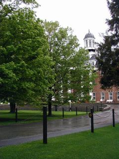 View of the cupola through the trees.