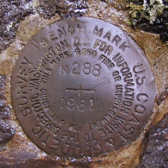 NGS Bench Mark Disk N 288