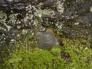 Condition of the station mark as initially found.