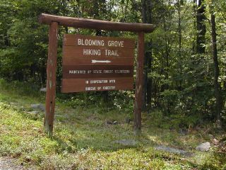 Azimuth mark is in wooded area directly behind this sign.