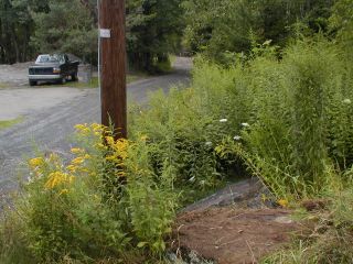 Orientation view of station mark and power pole.