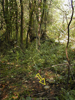 Orientation view of mark and surroundings. Station indicated.