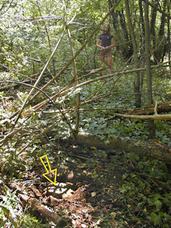 Orientation view. Reference mark indicated. Zhanna at station mark.