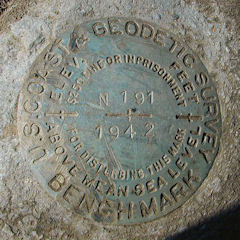 NGS Bench Mark Disk N 191