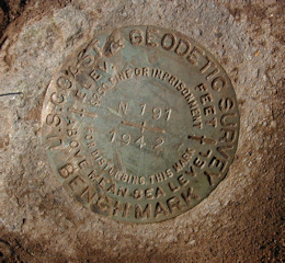 NGS Bench Mark Disk N 191