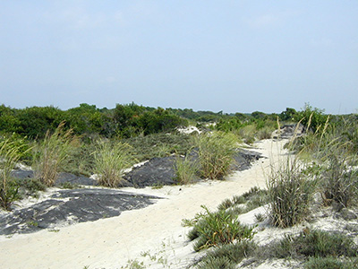 In most places there's nothing left but these odd chunks of black tarry asphalt rising from the dunes.