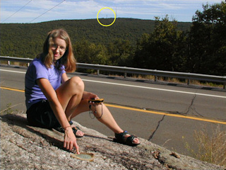 Pointing to azimuth mark, with the fire tower indicated.