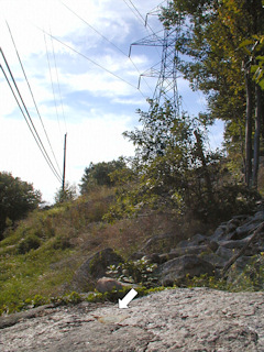 Facing NW, along the powerline cut.