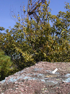 Facing NE, with the fire tower shown in the background.