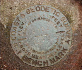 NGS Bench Mark Disk N 192