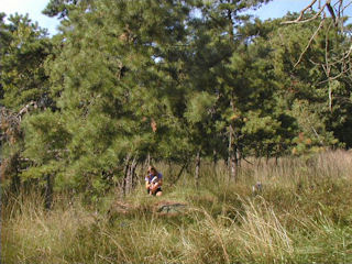 Orientation view, facing north. Zhanna at azimuth mark.