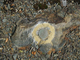 Eyelevel view of the NESQUE station mark on the outcropping.