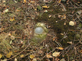 Eye level view of reference mark and surroundings.