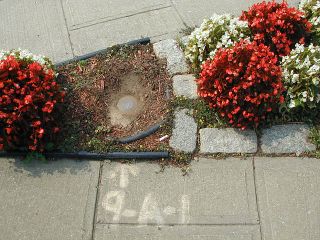 Designation and arrow on sidewalk.