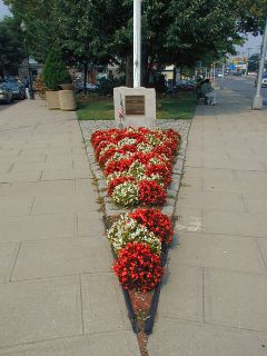 Looking northwest across the flowerbed and park.