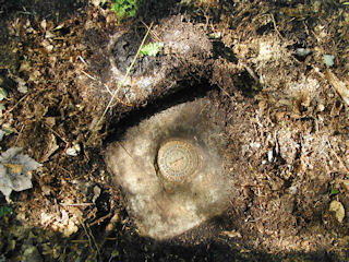 Eye-level view of the mark and monument.