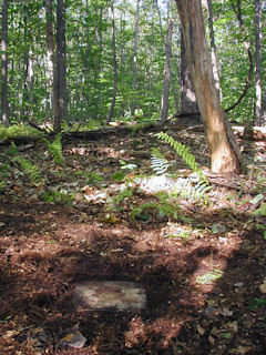 Facing north from RM 2, looking toward the station.