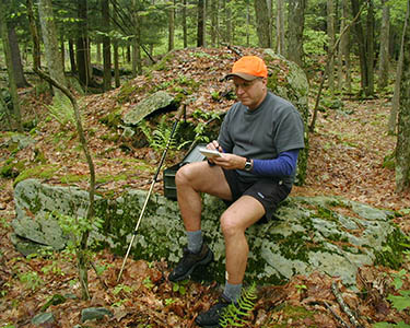 A very lush, boulder-strewn area.