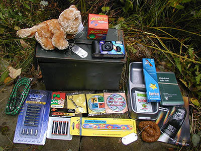 The cache contents as of this visit.