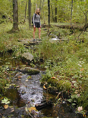 Another easy stream crossing.