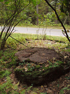 View of the boulder, facing east, showing Decker Hollow Road.