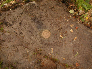 Eyelevel view of station mark and surroundings.