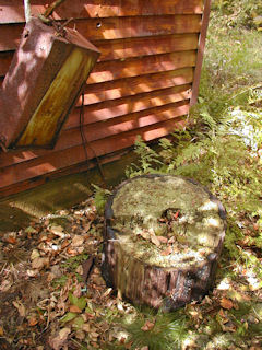 Eyelevel view, base of wooden antenna pole.