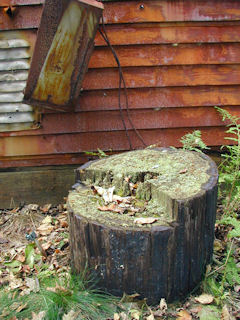 Base of the pole adjacent to equipment shed.