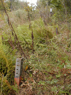 Orientation view, south (closest) and east leg anchors.