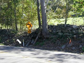 Looking SE toward the highway sign and culvert.